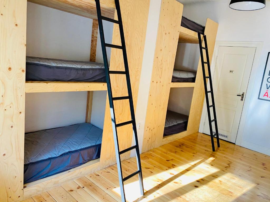 Номер (Кровать в общем 6-местном номере для женщин), City Backpackers Hostel