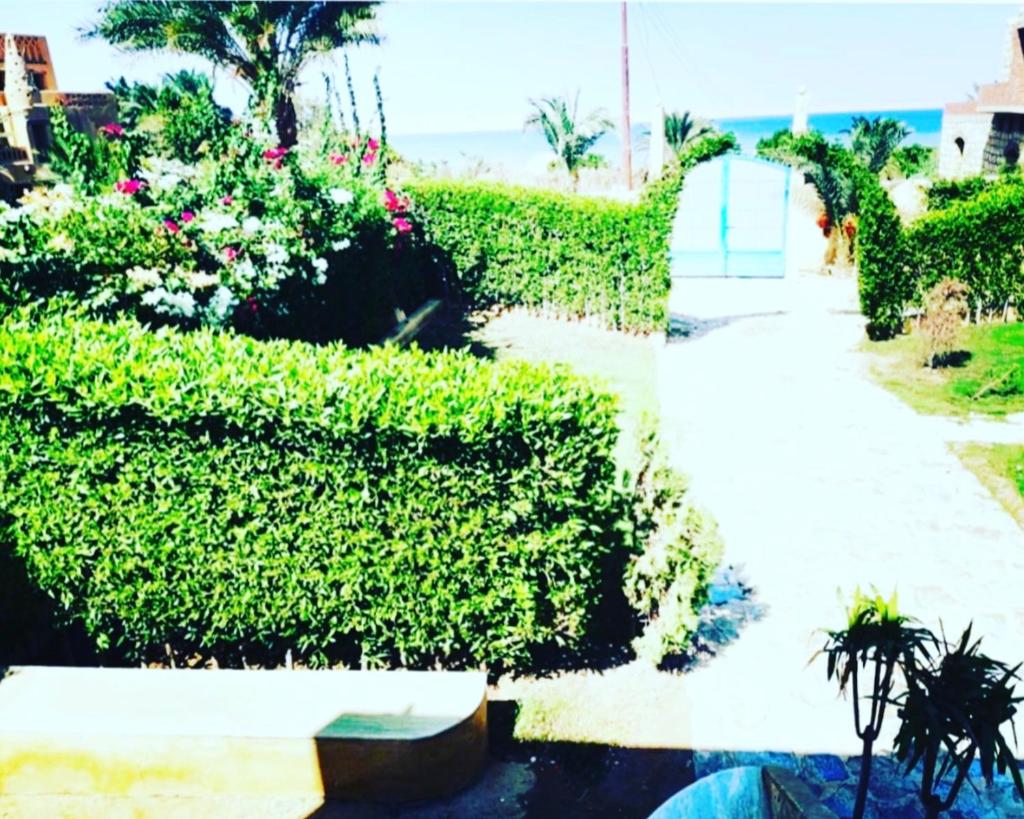 Marassi Tunis photo 4
