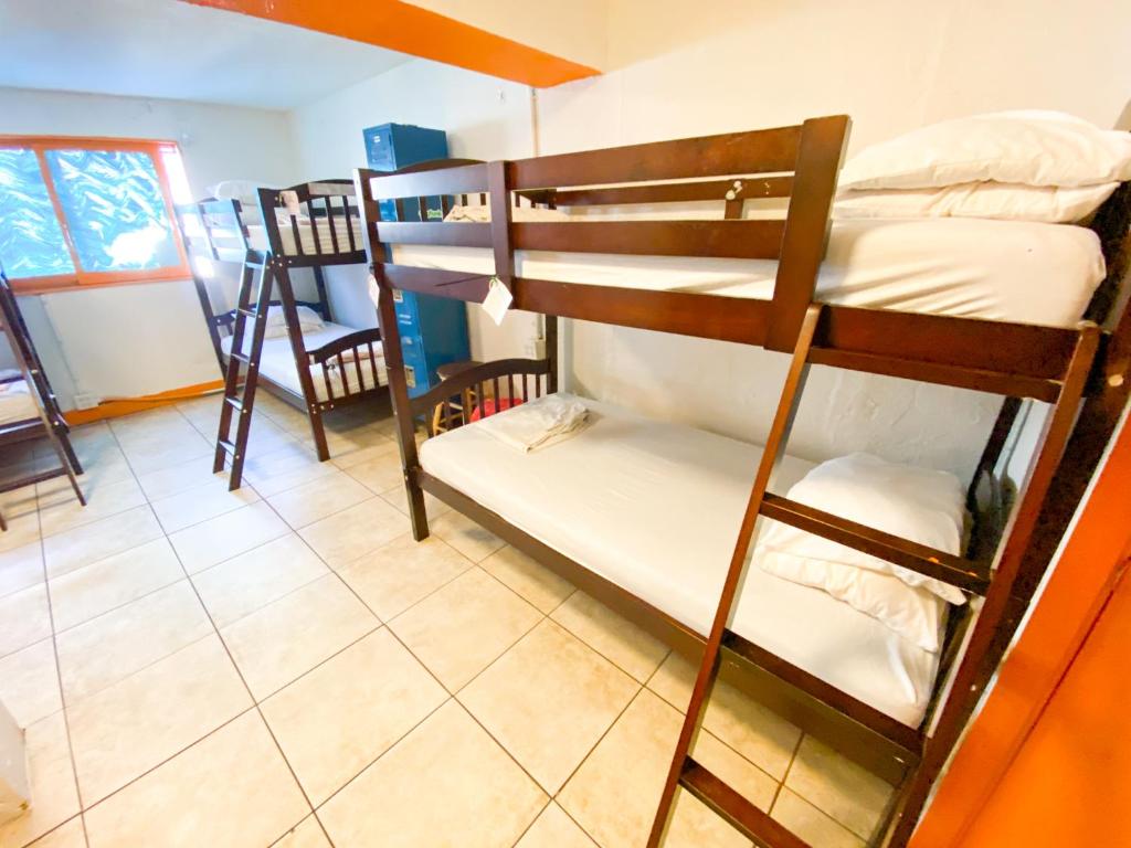 Номер (Кровать в общем номере для мужчин и женщин с 10 кроватями), ITH Beach Bungalow Surf Hostel San Diego