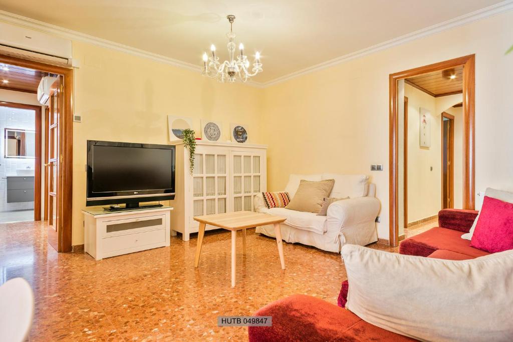 Alcam Barbera Centro photo 3