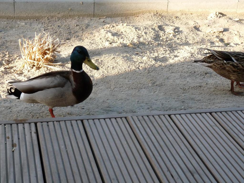 Das GrachtenDOMiZiL Greetsiel photo 3