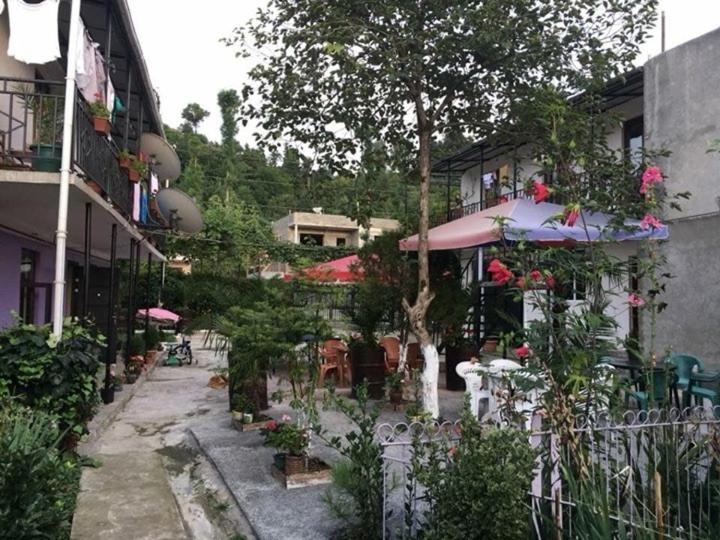 family hotel our house photo 1
