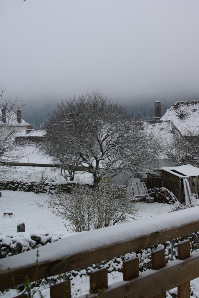 La Belle Arverne photo 3