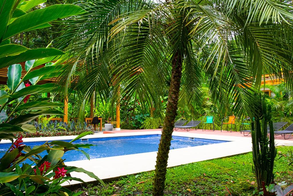 La Paz del Caribe photo 3