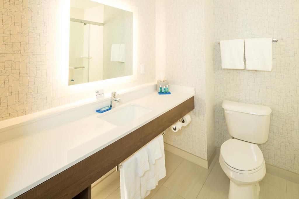 Holiday Inn Express & Suites - Kalamazoo West, an IHG Hotel photo 2