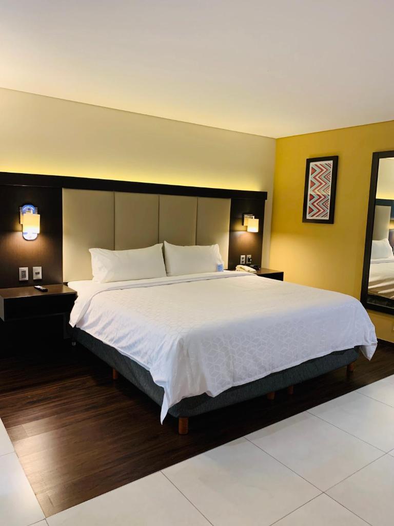 Holiday Inn Express - Mexico Basilica, an IHG Hotel photo 4
