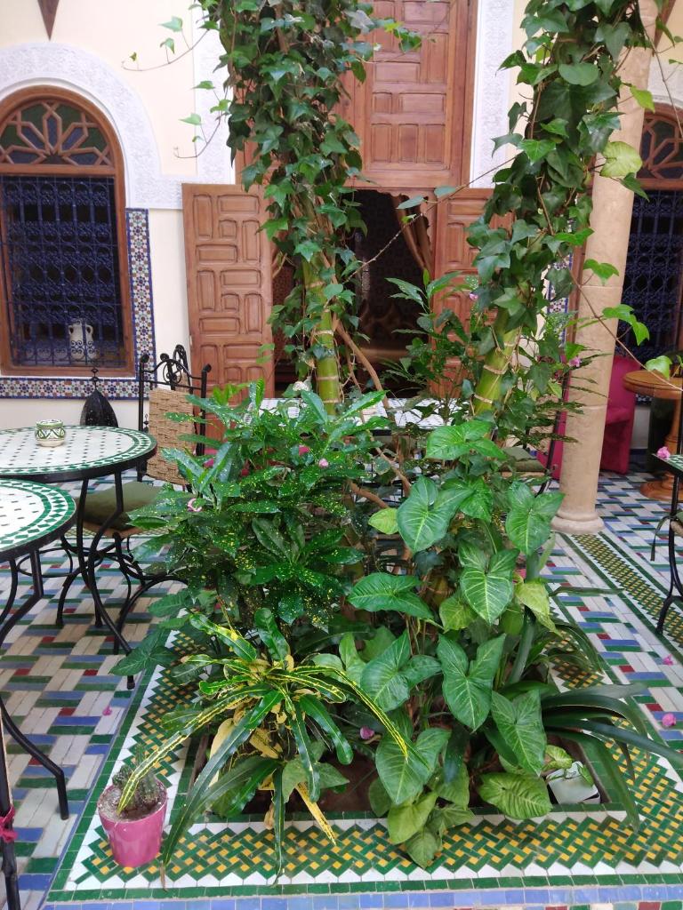 Dar Zouhour - Tap to explore photos