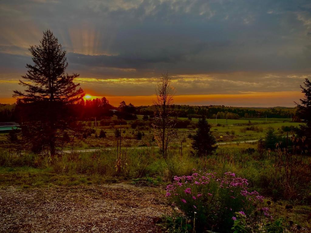 Top of Algonquin Bed and Breakfast photo 3