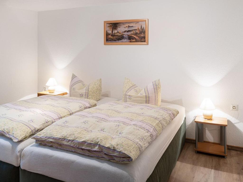 Scintillating Apartment in Wienrode near City Centre photo 3