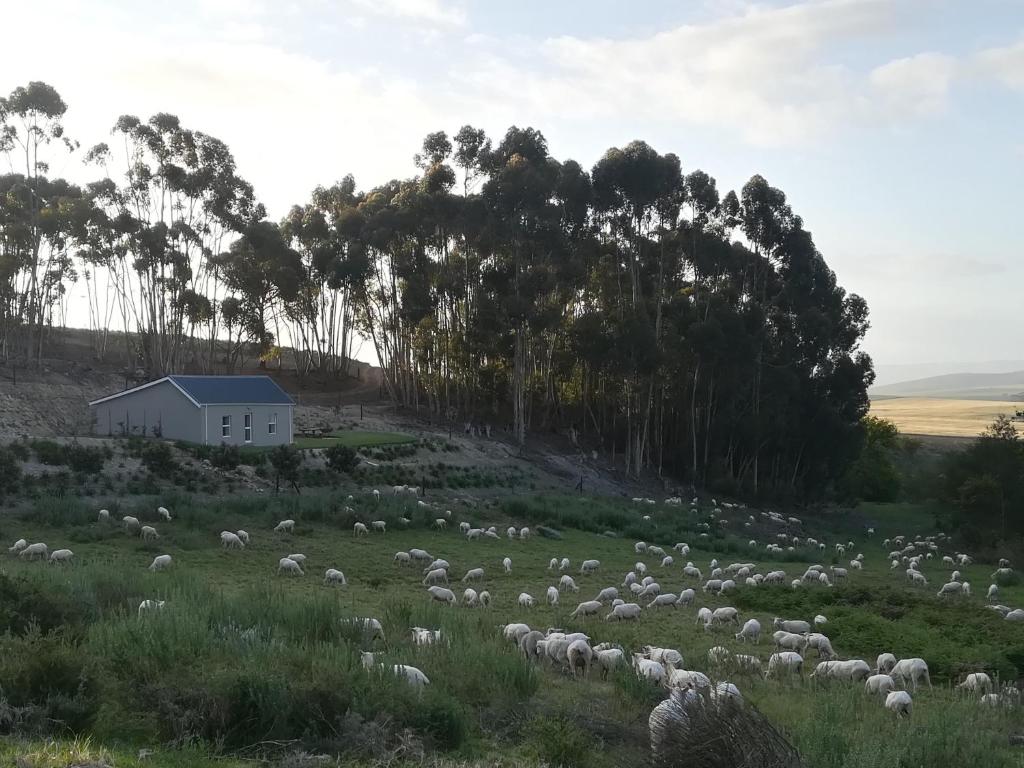 Treyntjes Rivier Cottages photo 1
