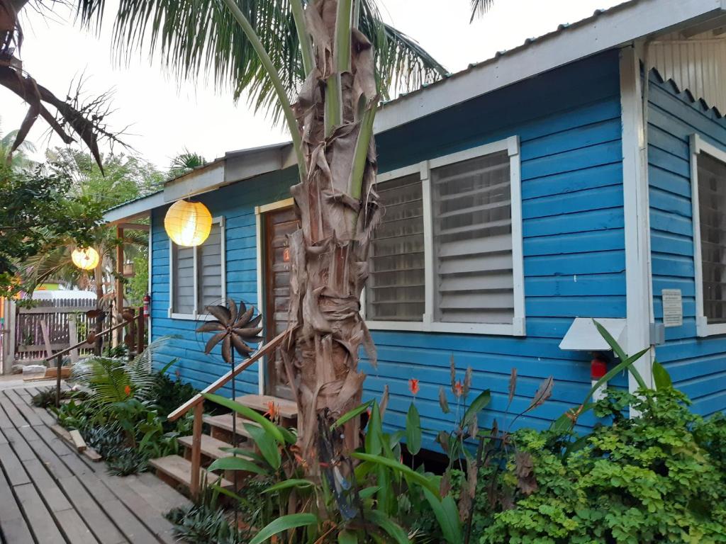 The Funky Dodo Backpackers Hostel photo 2