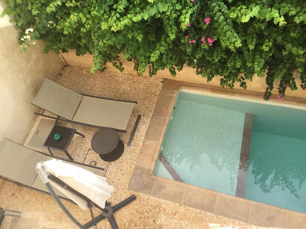 Le Clos Des Papillons photo 1