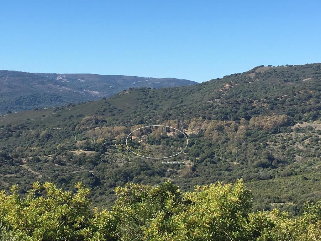 Eco Moyano Posada photo 1