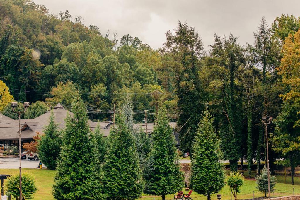 Brookside Lodge photo 2