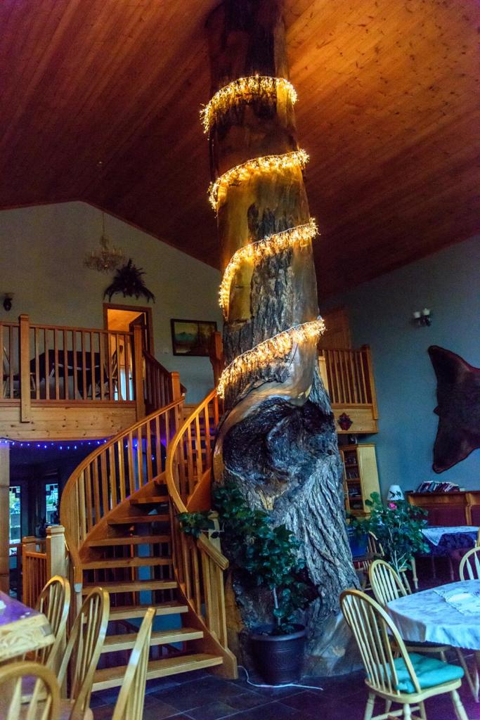 Glenogle Mountain Lodge and Spa photo 2