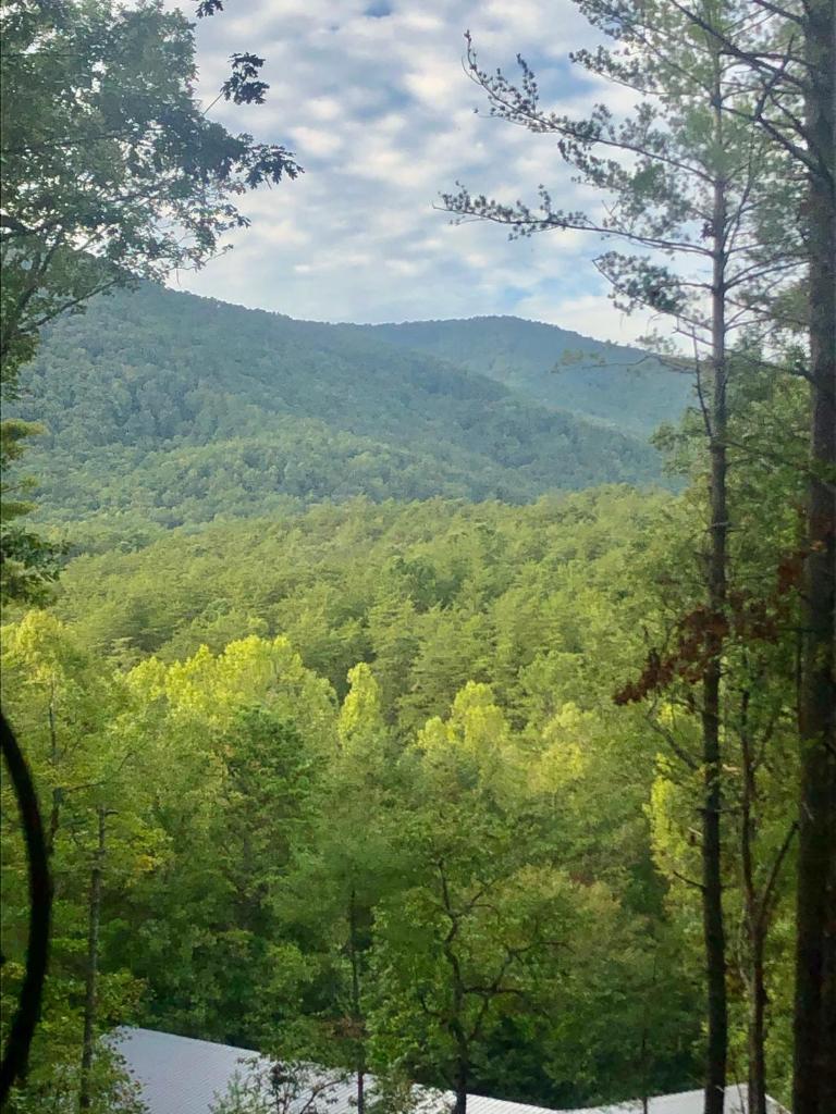 Mountain-top Cabin Get-away with Hot tub and a View photo 3