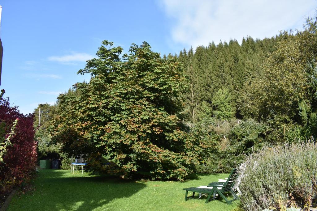 Ferienwohnung Sternkopf photo 1