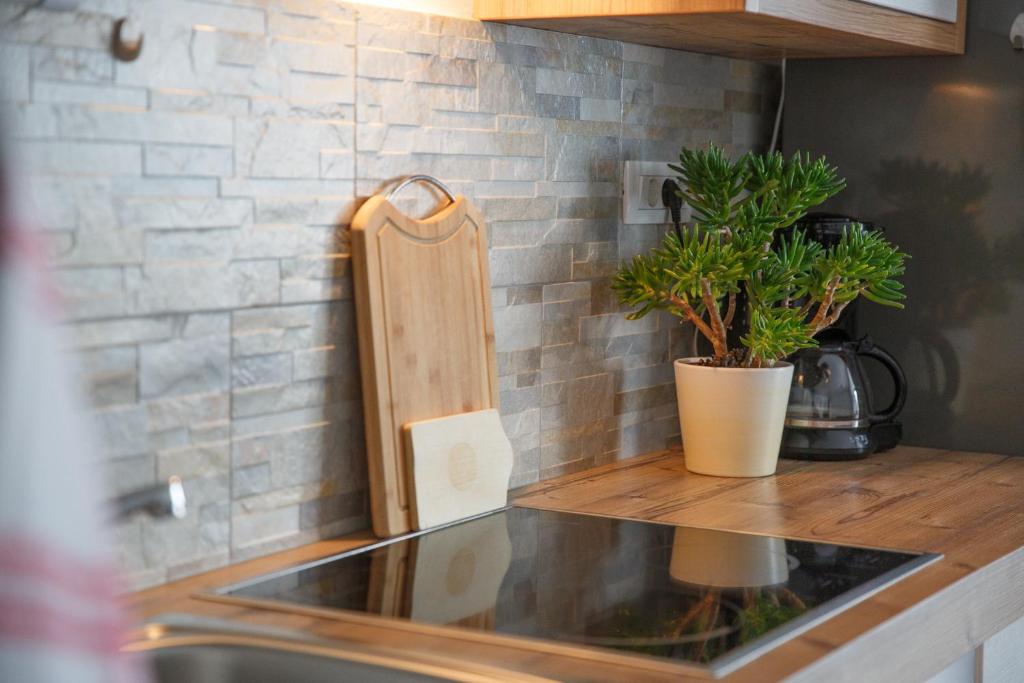 Apartma Natura Kope photo 4