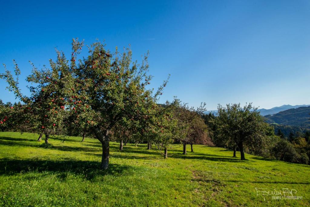 Apartma Lesjak - pobeg v naravo photo 4