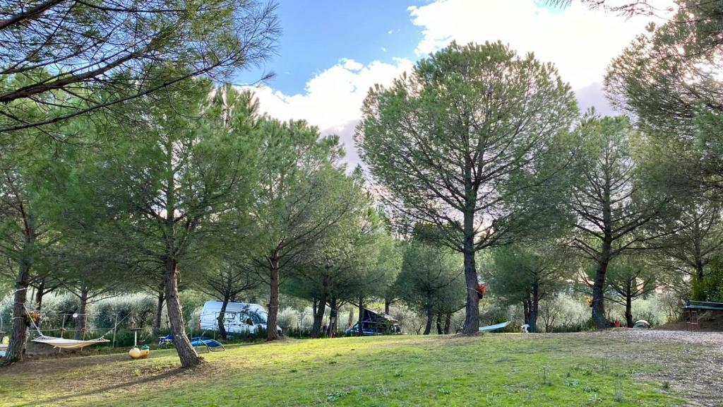 AGRICAMPING POGGIO AI PINI photo 1