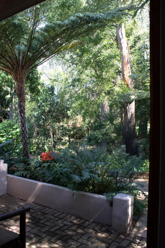 Andelomi Forest Lodge photo 3