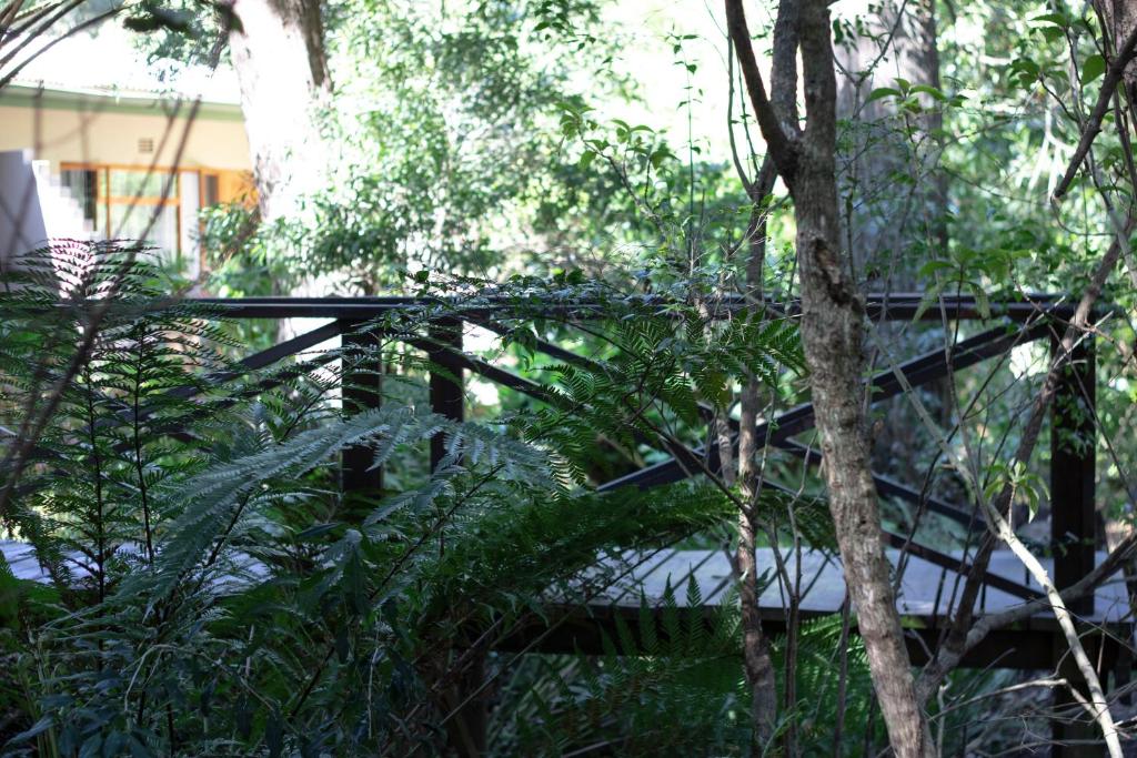 Andelomi Forest Lodge photo 2