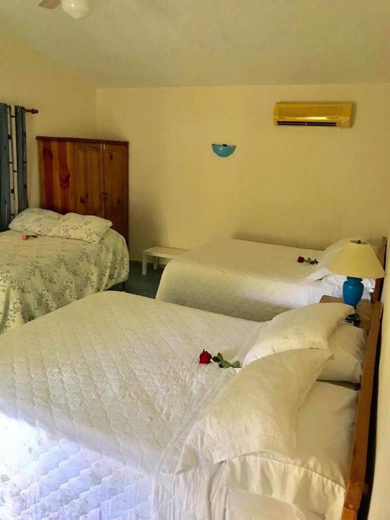 Hotel Playazul photo 4