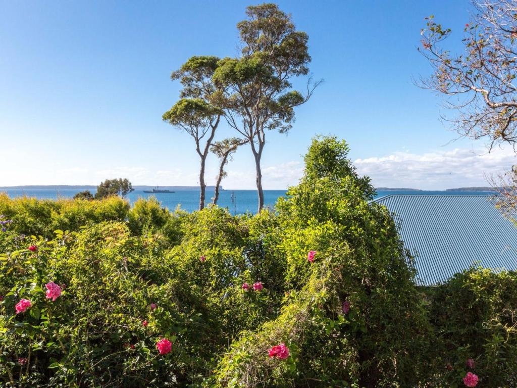 Hyams Seaside Apartment Hyams Beach photo 3