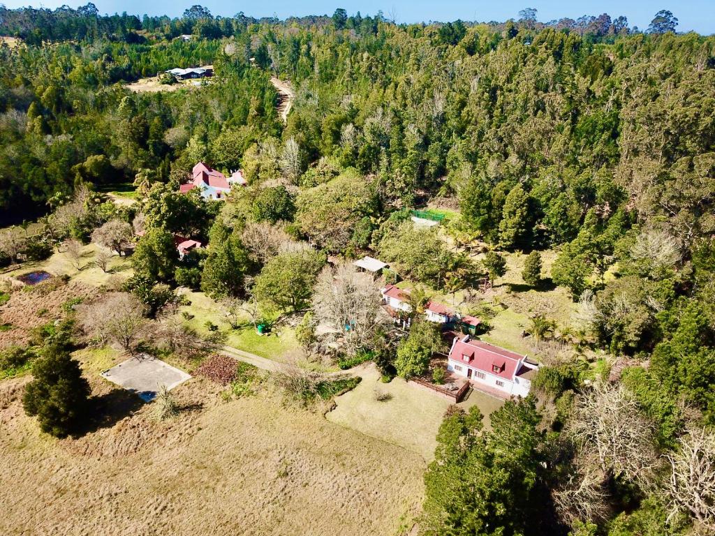 Masescha Country Estate photo 1