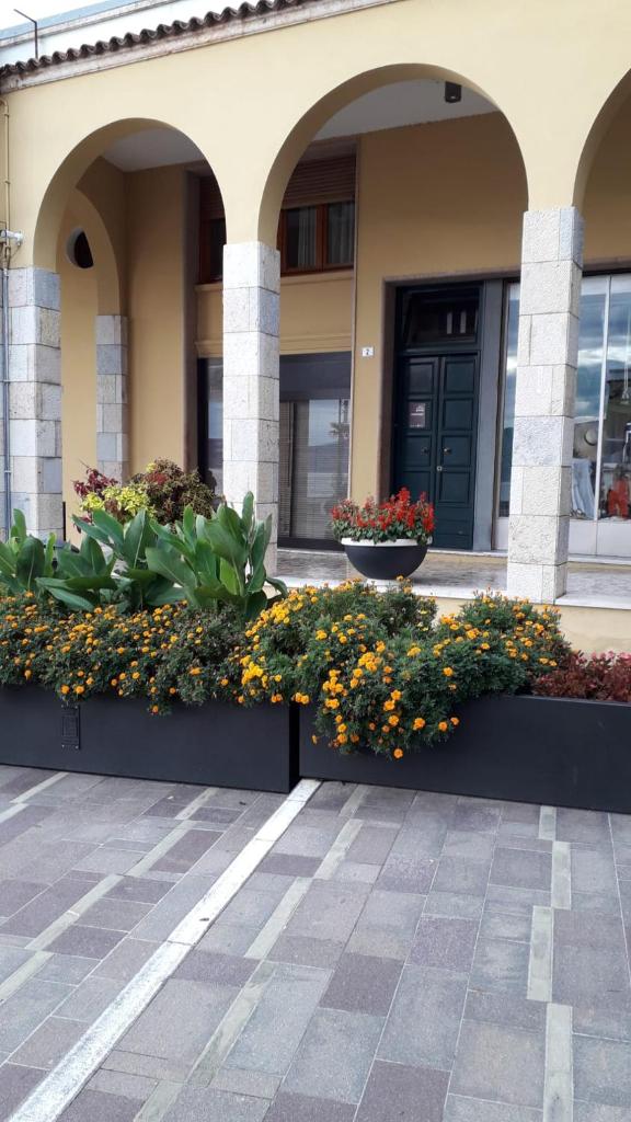 Camere Al Veliero photo 1