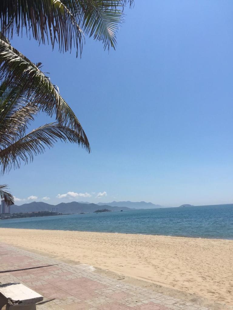 Апартаменты (Улучшенные апартаменты), Apartment Premium THIÊN KIM 11