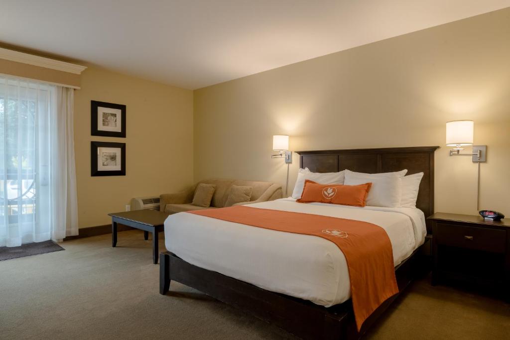 Amsterdam Inn & Suites Sussex photo 1