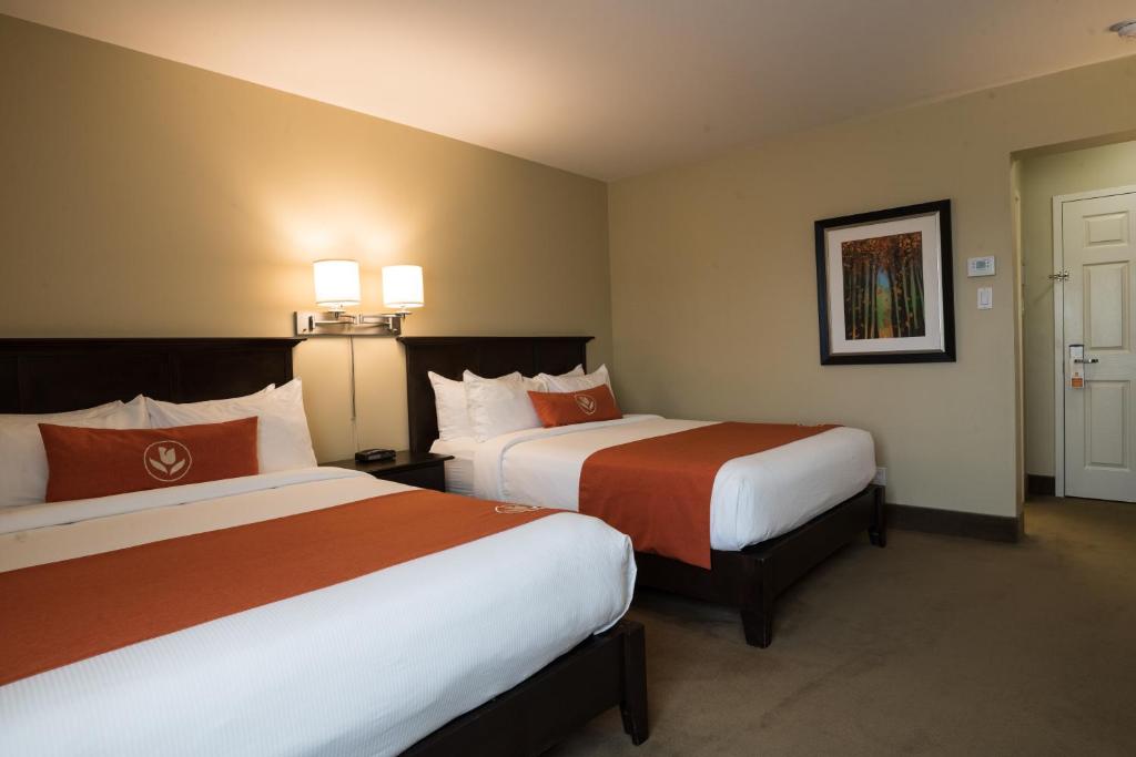 Amsterdam Inn & Suites Sussex photo 4