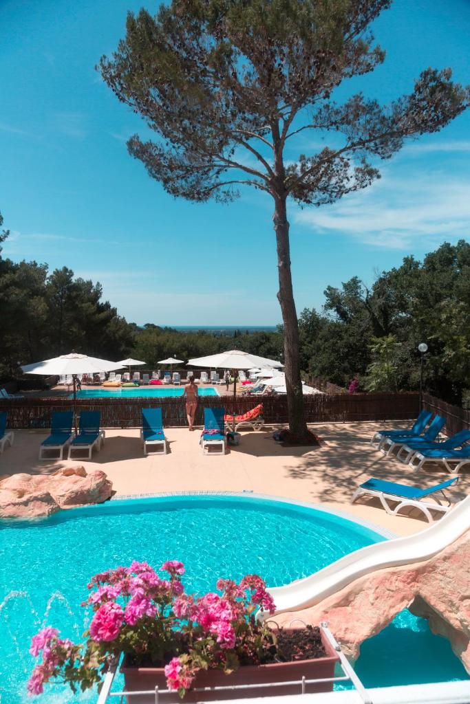 Camping Le Pianacce photo 4