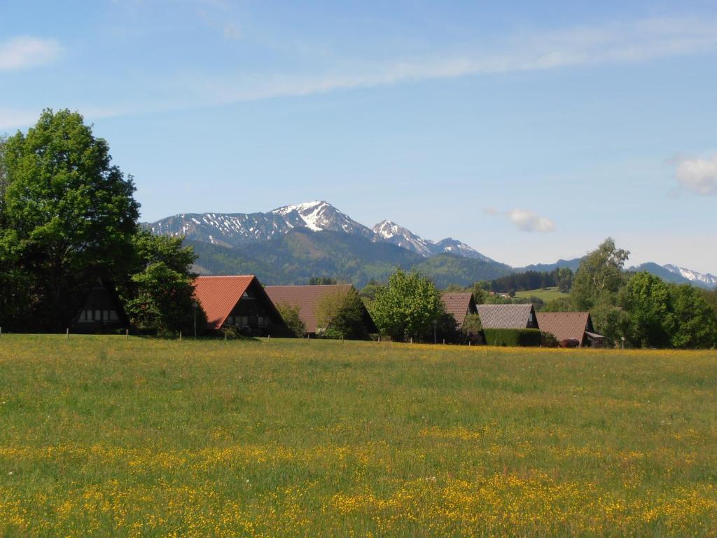 Ferienpark Vorauf photo 1