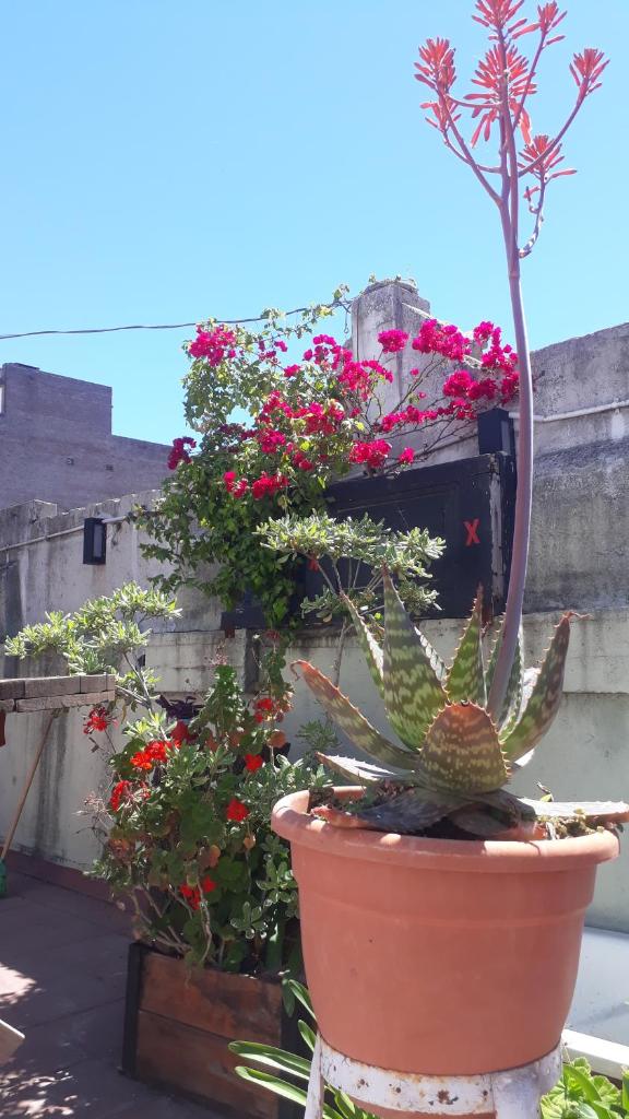 Kymani House photo 1