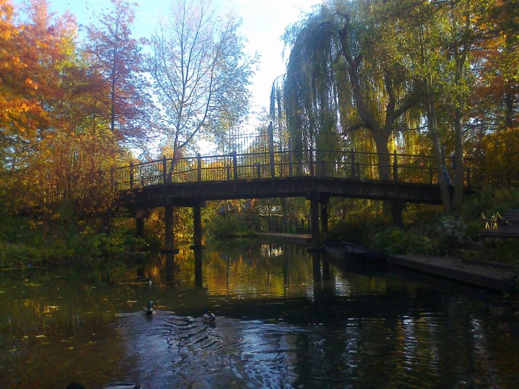 Ferienwohnung Hainbuche Lübben im Spreewald photo 3