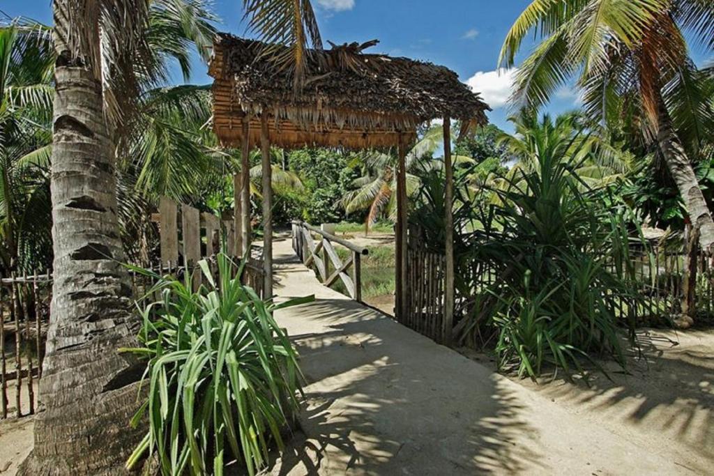 Sambatra Bed and Breakfast photo 2