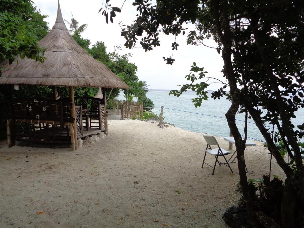 Sea Turtle House Moalboal photo 3