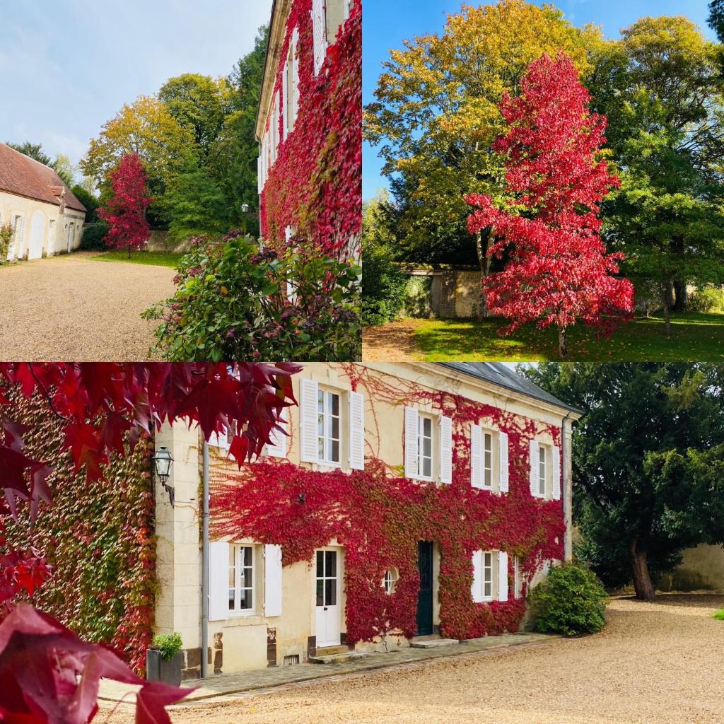 Les Couleurs du Verger photo 1