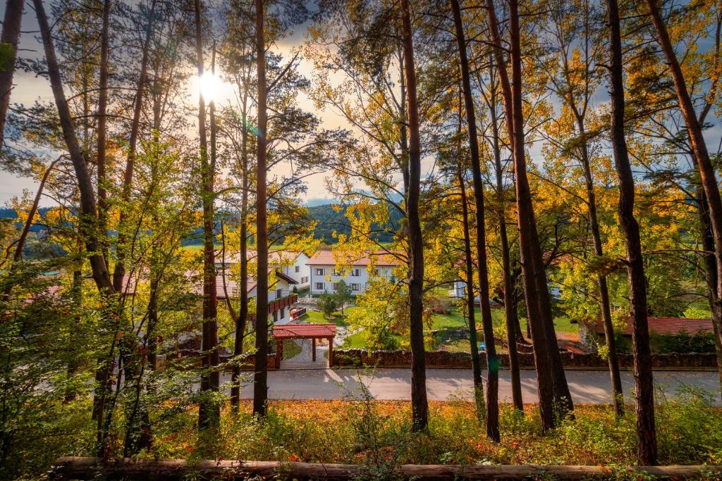Wolkendorf Bio Hotel & Spa photo 4
