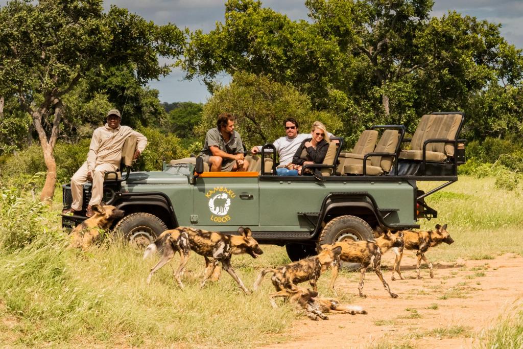 Kambaku Safari Lodge