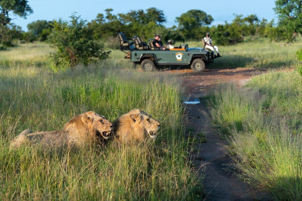 Kambaku Safari Lodge photo 1