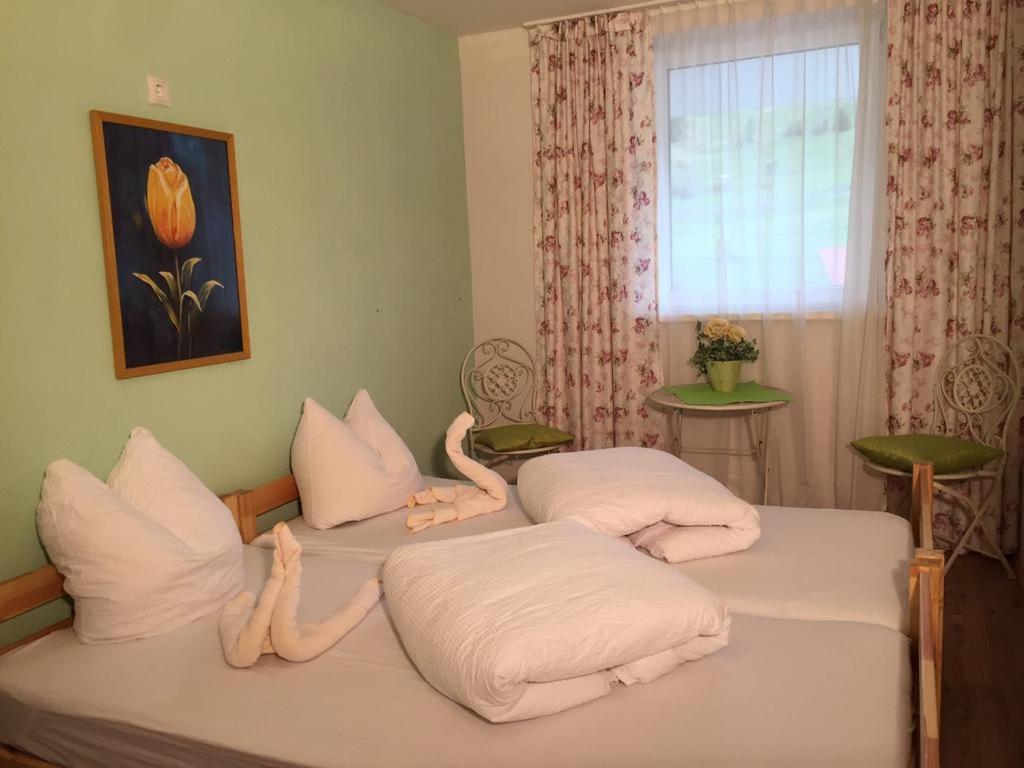 Ibex Hostel photo 2