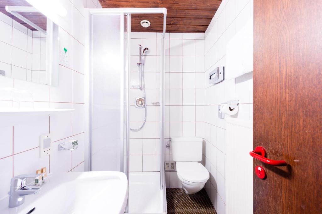 Двухместный (Двухместный номер эконом-класса с 1 кроватью), Hotel Schrofenstein