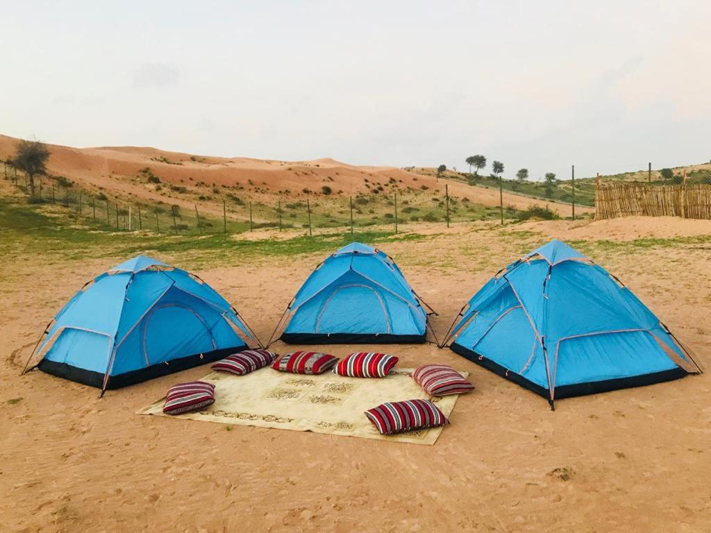 Номер (Шатер), Кемпинг The Dunes Camping & Safari RAK