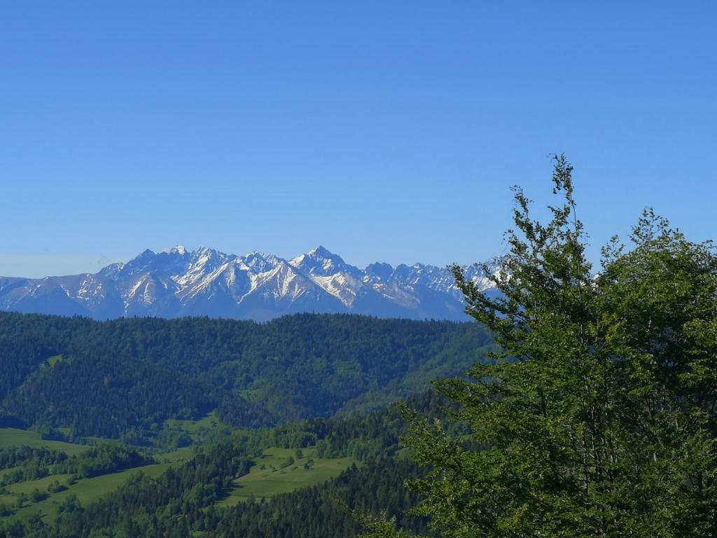 Gorczańskie Siedlisko photo 2