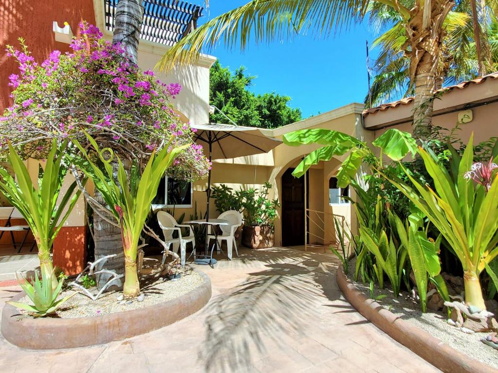 Coco Cabañas and Casitas Vacation Rentals photo 2