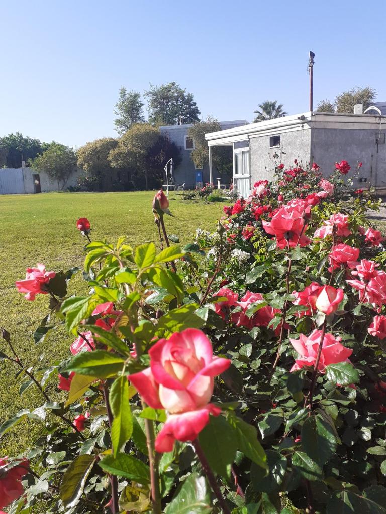PARQUE APART HOTEL photo 2