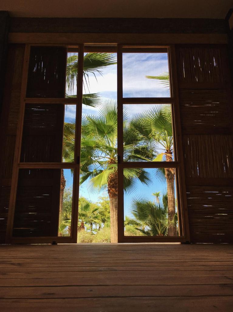Tribu Todos Santos photo 2